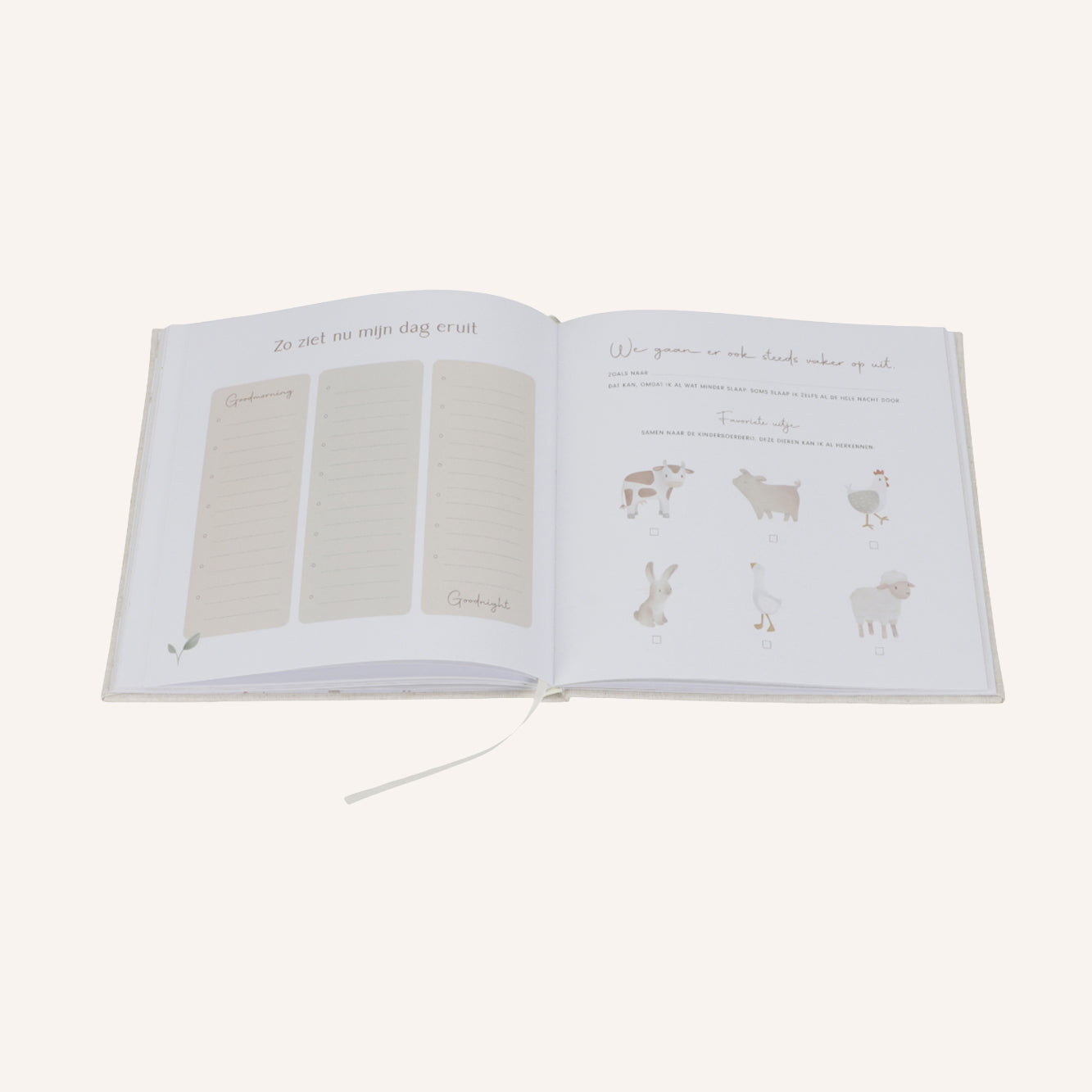 Mein erstes Jahr | Babybuch