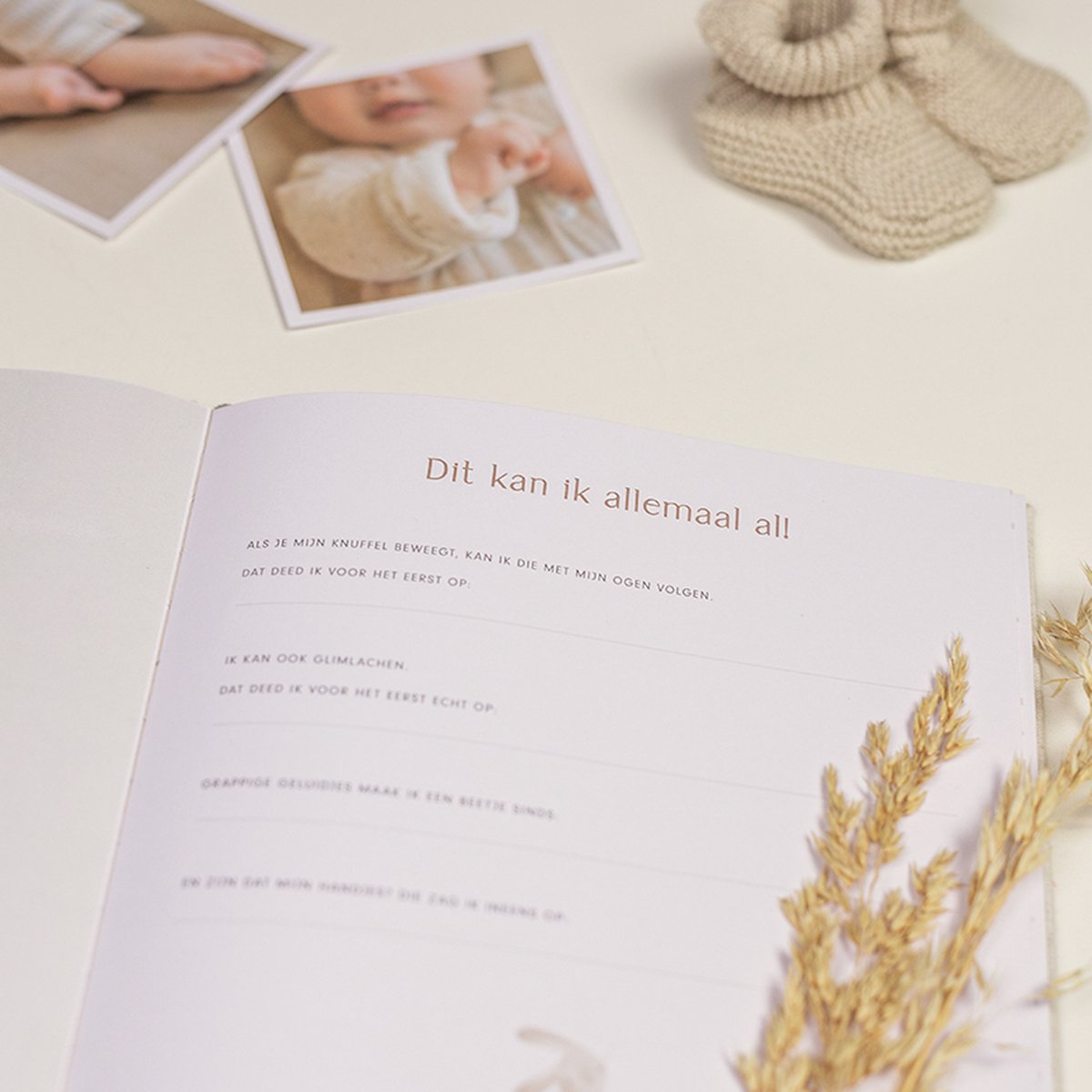 Mein erstes Jahr | Babybuch