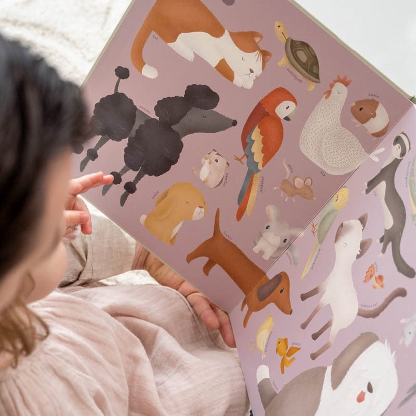 Mein erstes Tierbuch