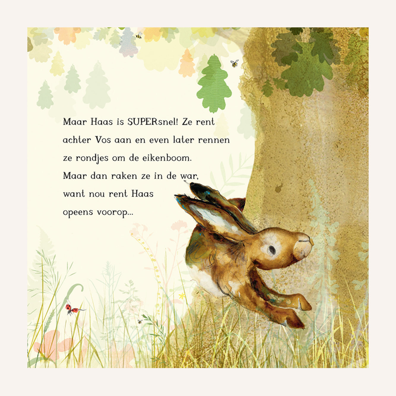Hare, Owl & Fox Playing Tag | Book