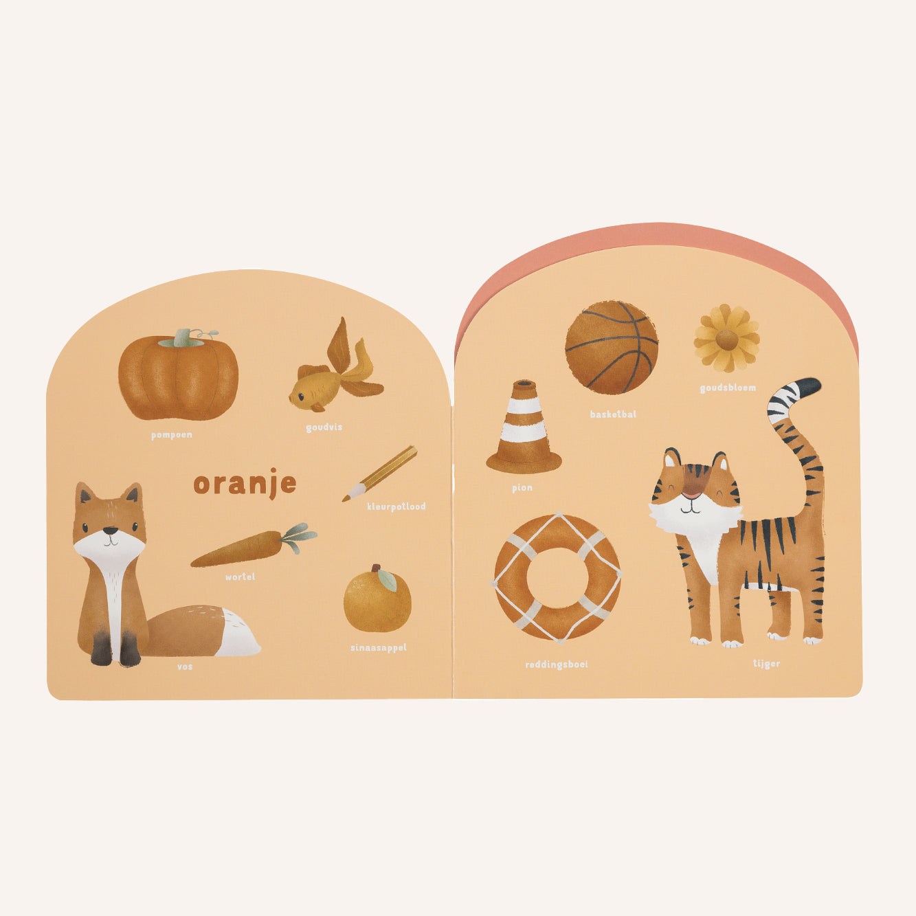 Rainbow | Coloring Book