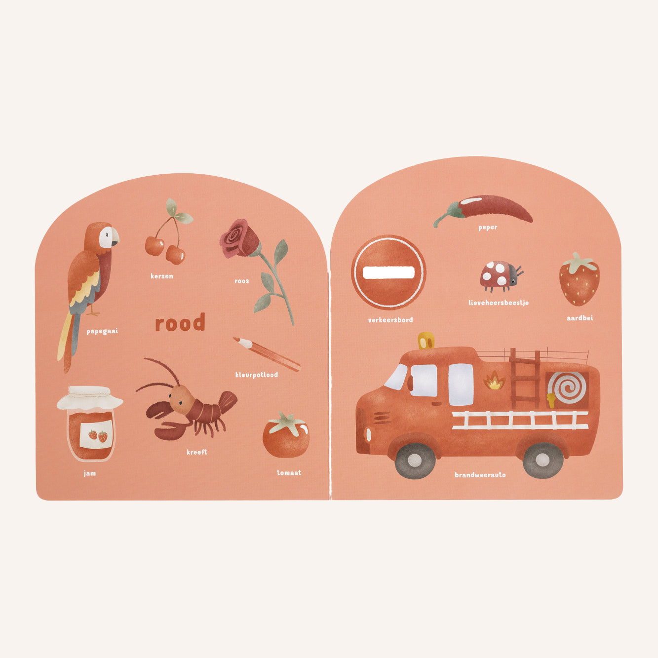 Rainbow | Coloring Book