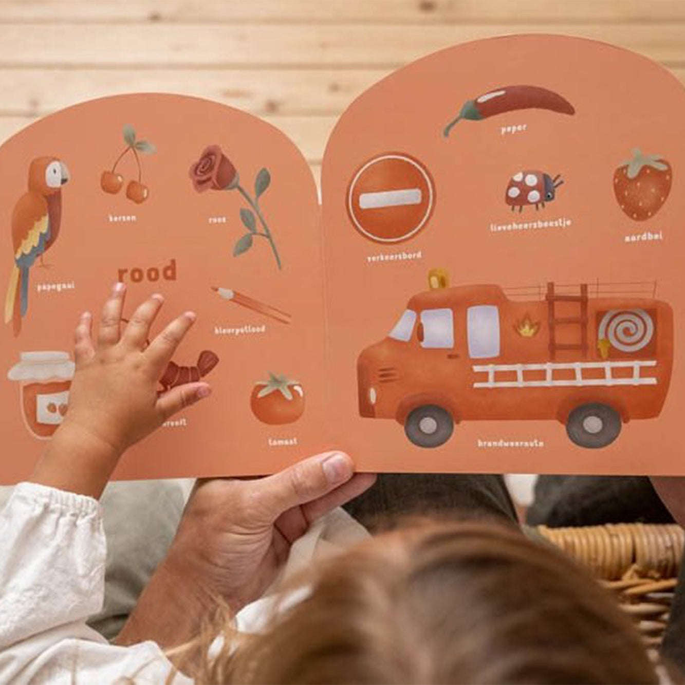 Rainbow | Coloring Book