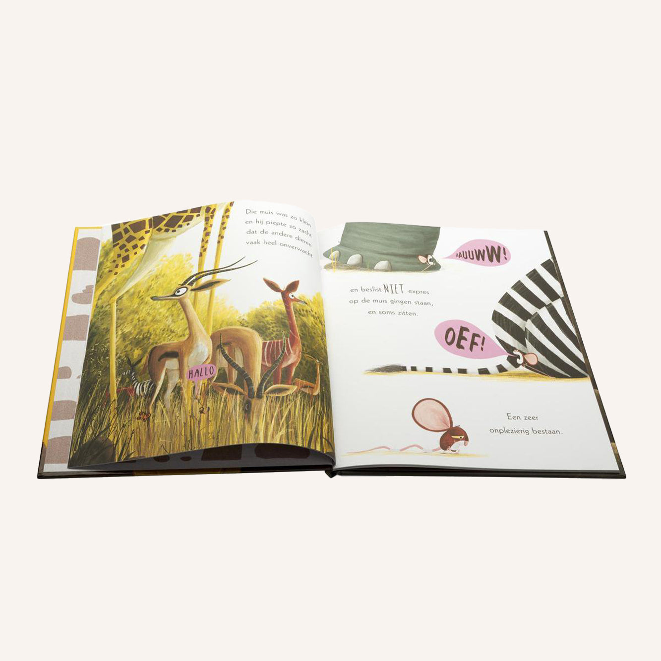 Lion in the Mouse | Book