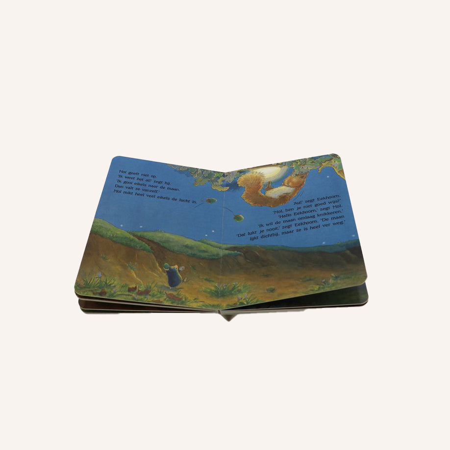 Ich will den Mond | Buch