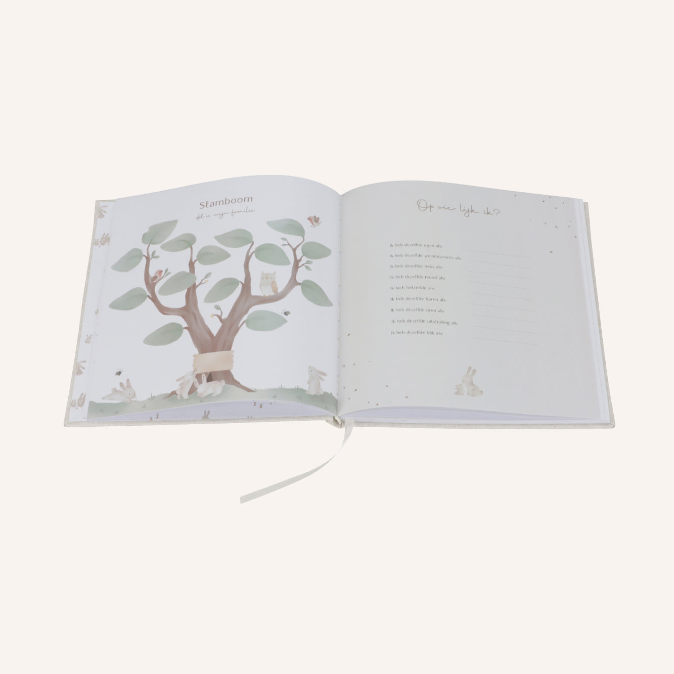 Mein erstes Jahr | Babybuch