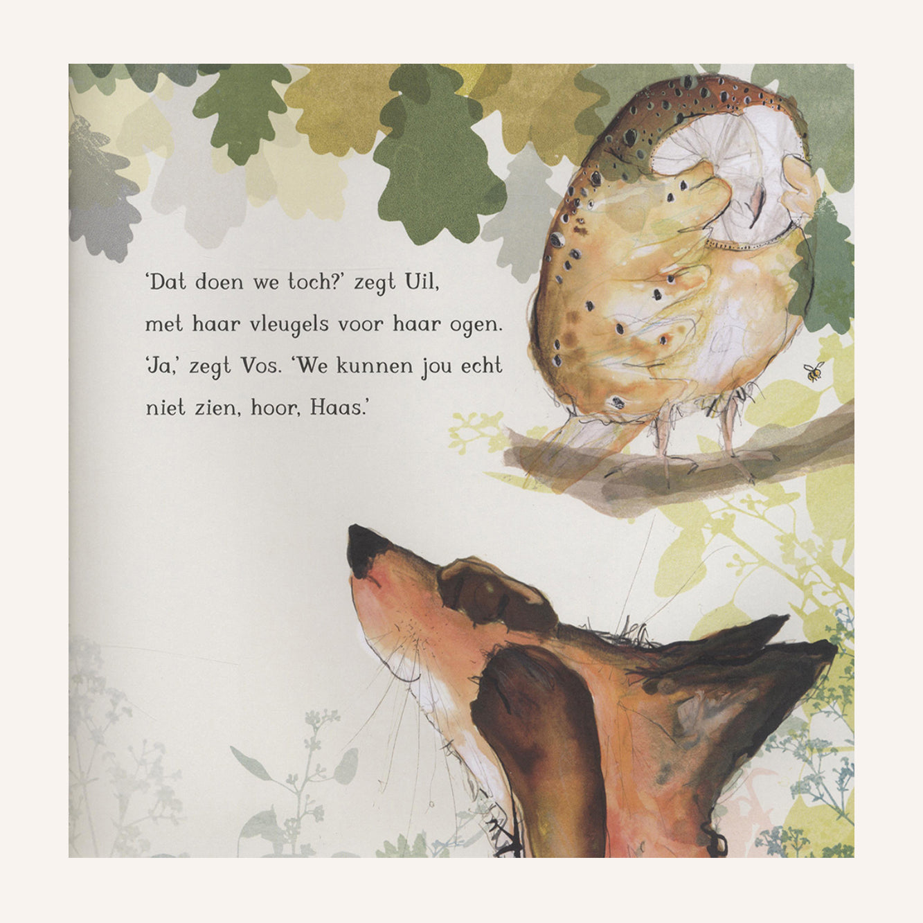 Hase, Eule und Fuchs spielen Verstecken | Buch