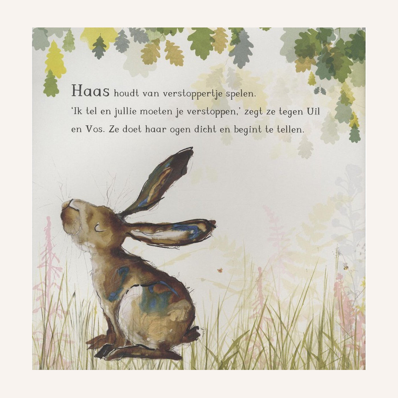 Hase, Eule und Fuchs spielen Verstecken | Buch